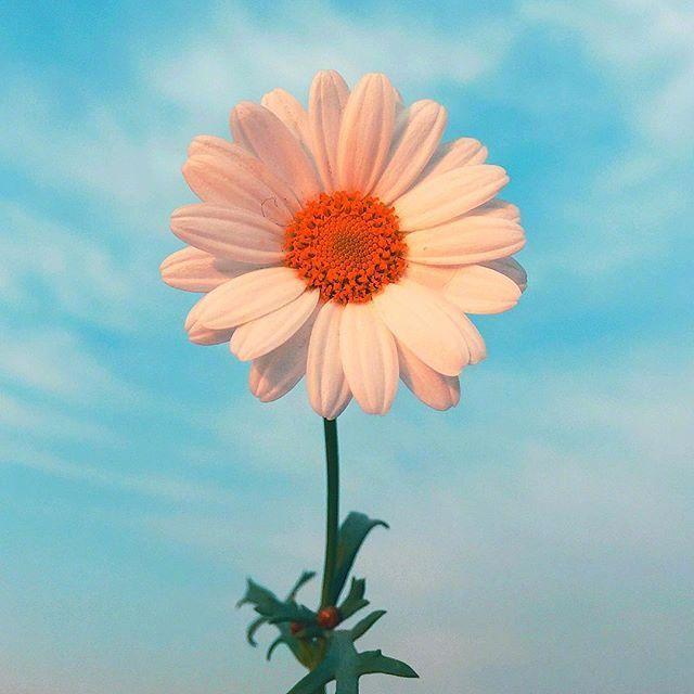 青春活力的早安语录，唤醒你心灵的力量！