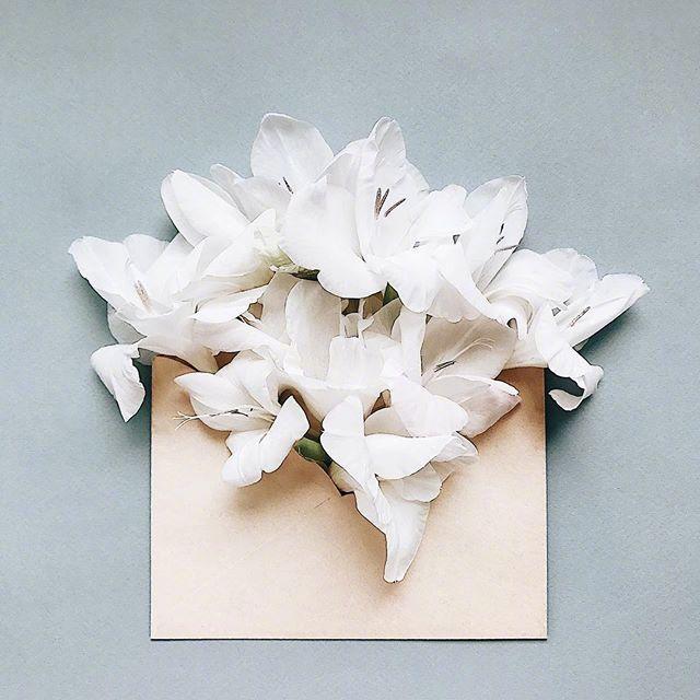 唯美有哲理的感悟句子，句句饱含智慧！