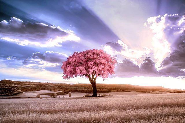 句句深得人心的句子，唯美走心，气质超群！