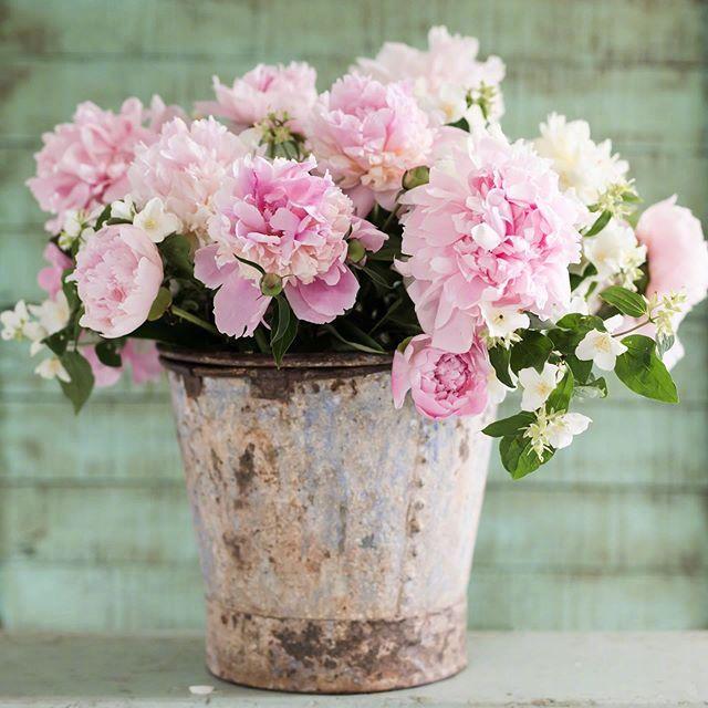 让你幡然醒悟的人生哲理，迷茫的时候多看看！