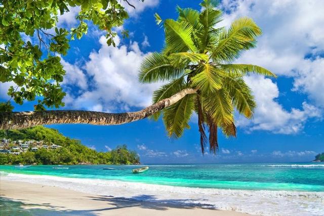 新的一天心向阳光的句子，看完忍不住想分享！