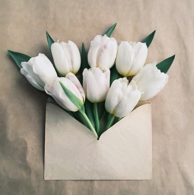 经典有内涵的晚安心语，精辟有理，深入人心！