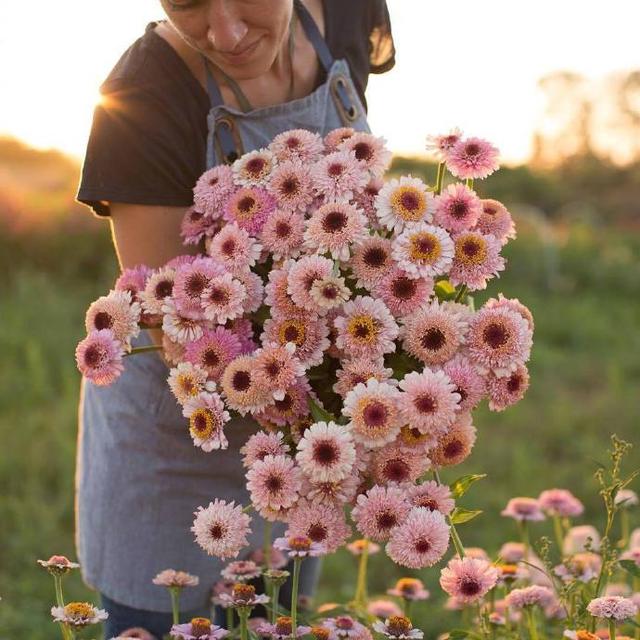 十月简短温柔的句子，入心入肺，总有几句最爱！