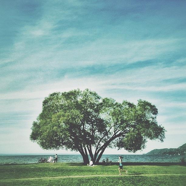 十月经典人生感悟，蕴含哲理，受用一生！