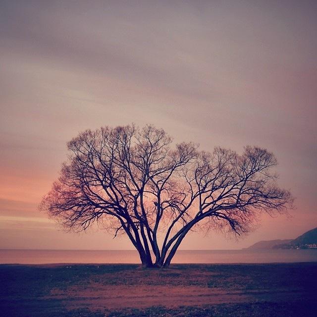 十月经典人生感悟,蕴含哲理,受用一生!