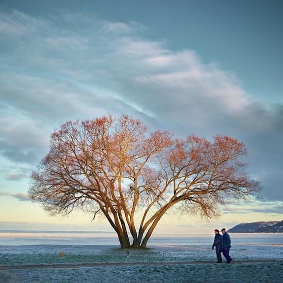 十月经典人生感悟,蕴含哲理,受用一生!