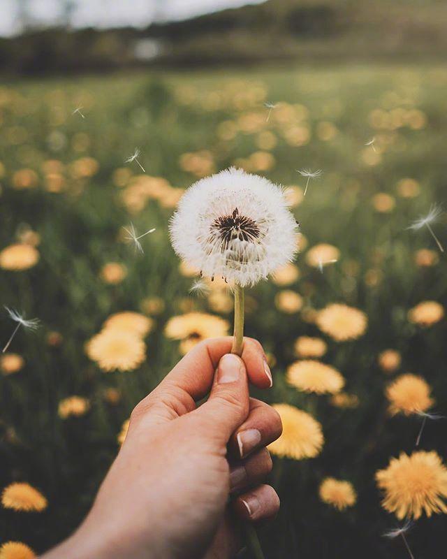 心在滴血的伤感句子，送给心灰意冷的你！