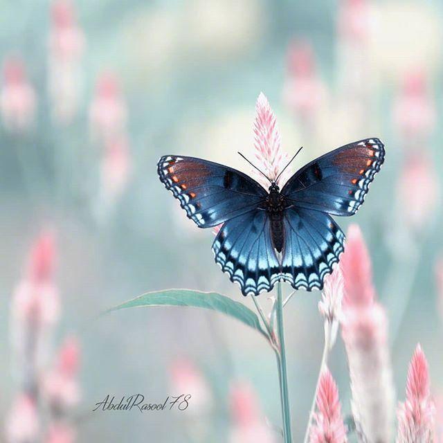 感叹人生的哲理句子，句句经典，发人深省！