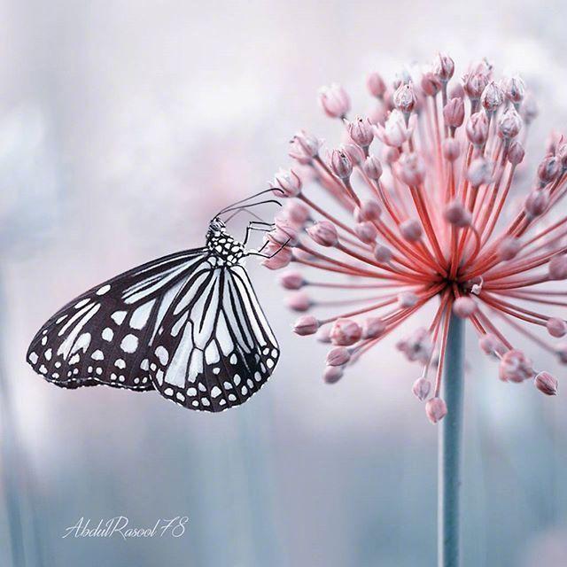 感叹人生的哲理句子，句句经典，发人深省！