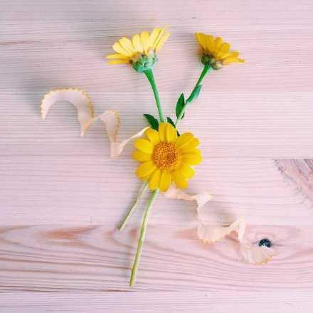 能火到2021年的说说，精辟睿智，人人收藏！