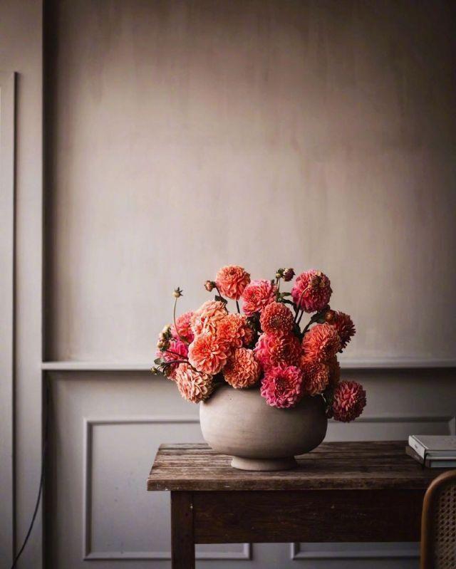 超凡脱俗的佛语，经典睿智，让你大彻大悟！