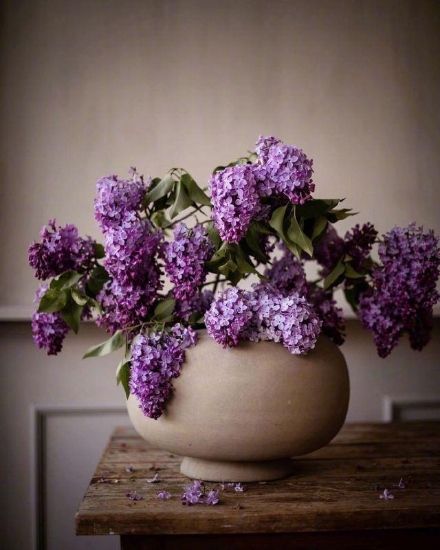 超凡脱俗的佛语，经典睿智，让你大彻大悟！