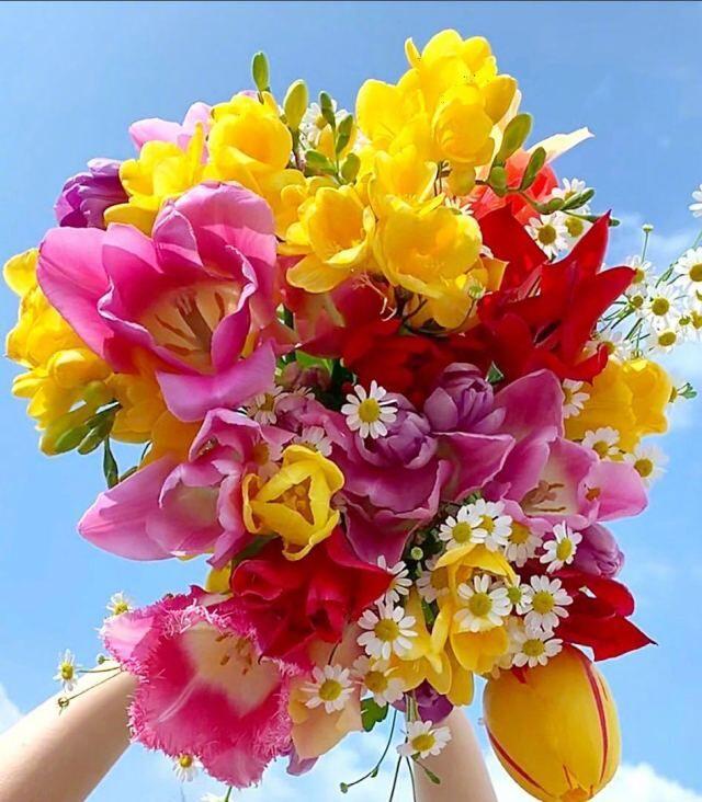 清晨阳光正能量精致文案，句句拉风，刷爆朋友圈！