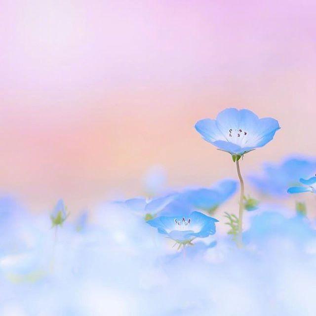 令人赞叹的经典文案，句句说到心坎！