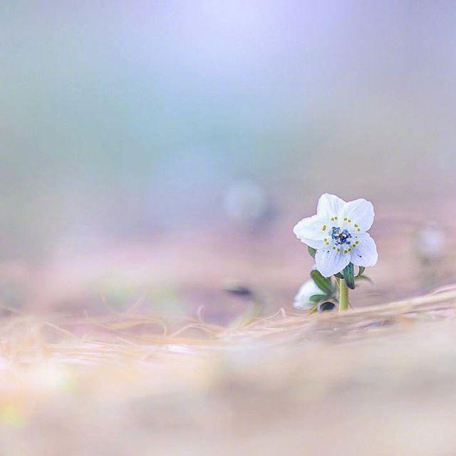 令人赞叹的经典文案，句句说到心坎！