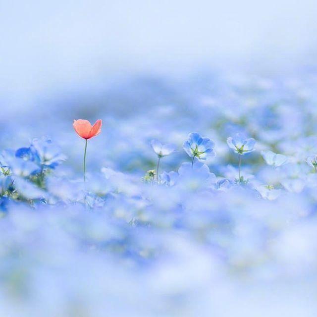 令人赞叹的经典文案，句句说到心坎！