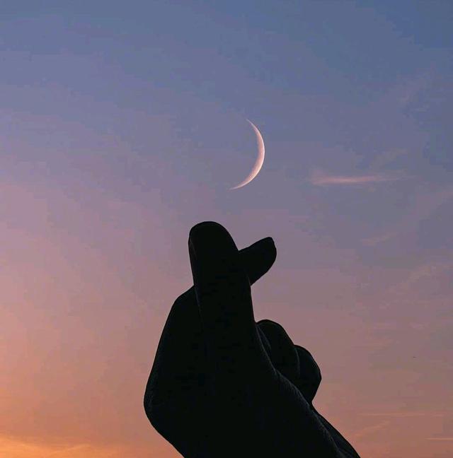 干净文艺的晚安语录，句句温情四溢！