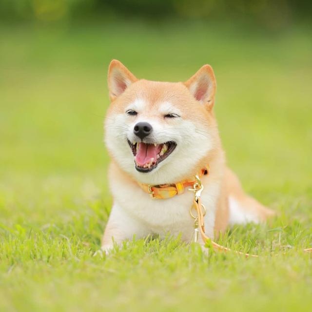 有哲理的人生箴言，言简意深，让人醍醐灌顶！