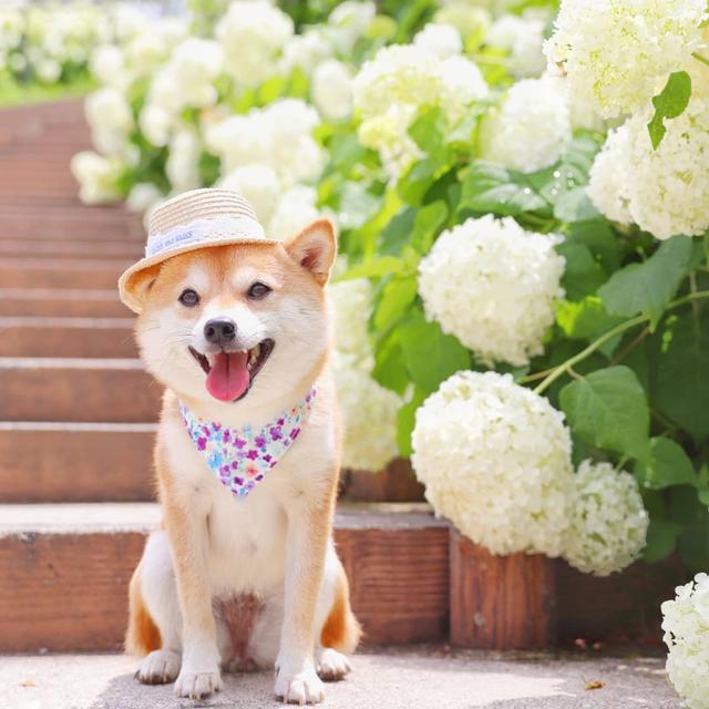 有哲理的人生箴言，言简意深，让人醍醐灌顶！