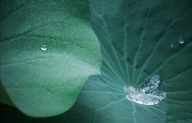 感悟深刻的精致文案，意味深长，引人深思！