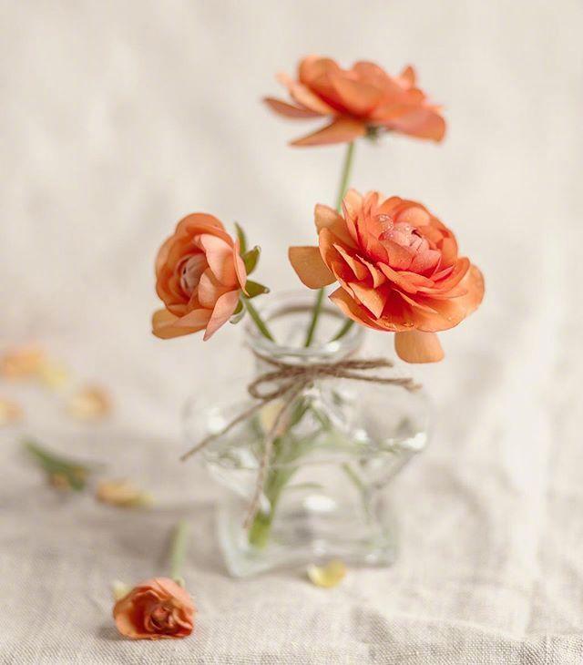 悟透人生的经典文案句子，每一句都是心灵鸡汤！