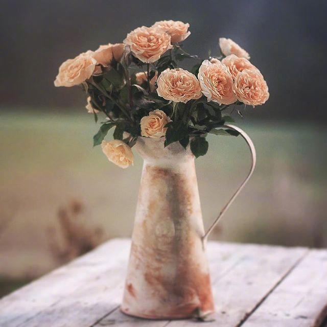 教师节最新精美文案，简短有创意，暖人心窝！