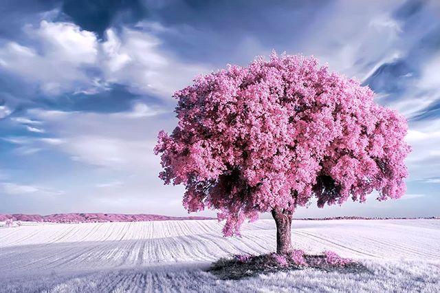 教师节最经典的温馨语录，佳节来临，莫忘师恩！