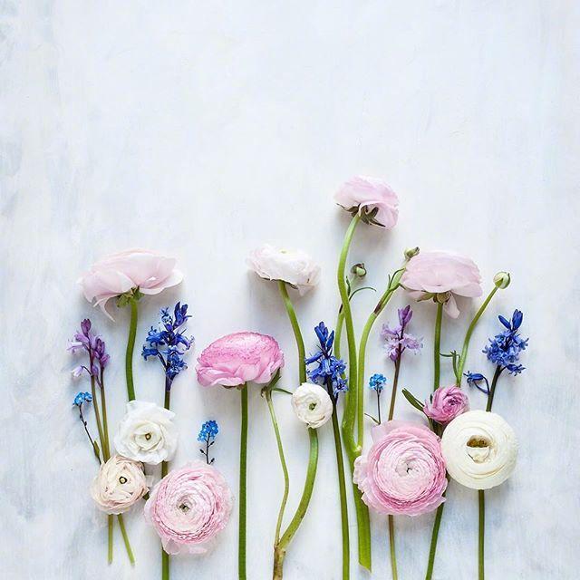 有感而发的精致语录，温暖走心，无数人转发！