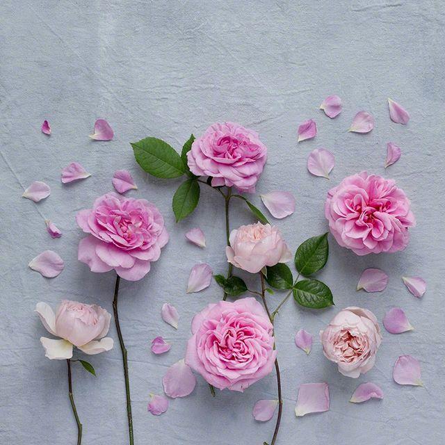 有感而发的精致语录，温暖走心，无数人转发！