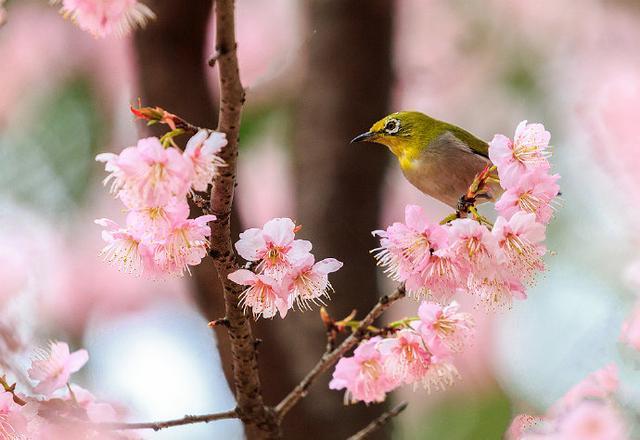 调整心态的人生文案，道理深刻，刻骨铭心！