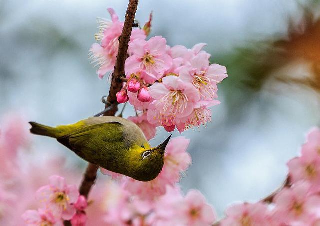 调整心态的人生文案，道理深刻，刻骨铭心！
