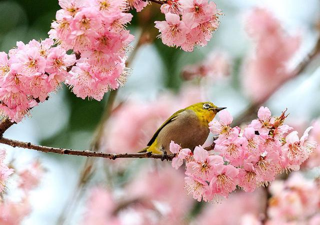 调整心态的人生文案，道理深刻，刻骨铭心！