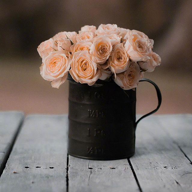 值得收藏的人生句子，见解独到，受益一生！