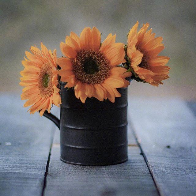 值得收藏的人生句子，见解独到，受益一生！