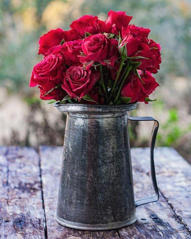 值得收藏的人生句子，见解独到，受益一生！