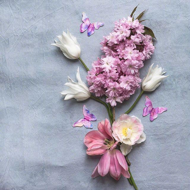 很有意境的魅力短句,选一句发朋友圈吧!