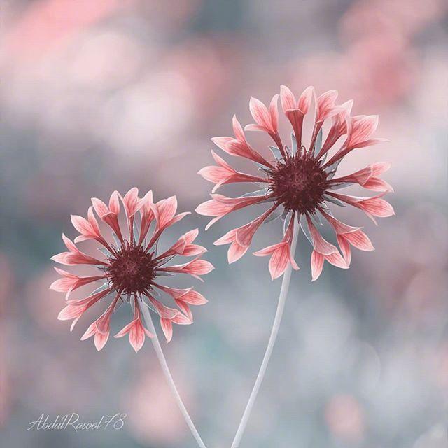 经典蕴含哲理的人生箴言，道理深刻，刻骨铭心！