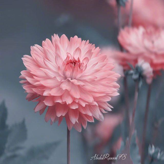 经典蕴含哲理的人生箴言，道理深刻，刻骨铭心！