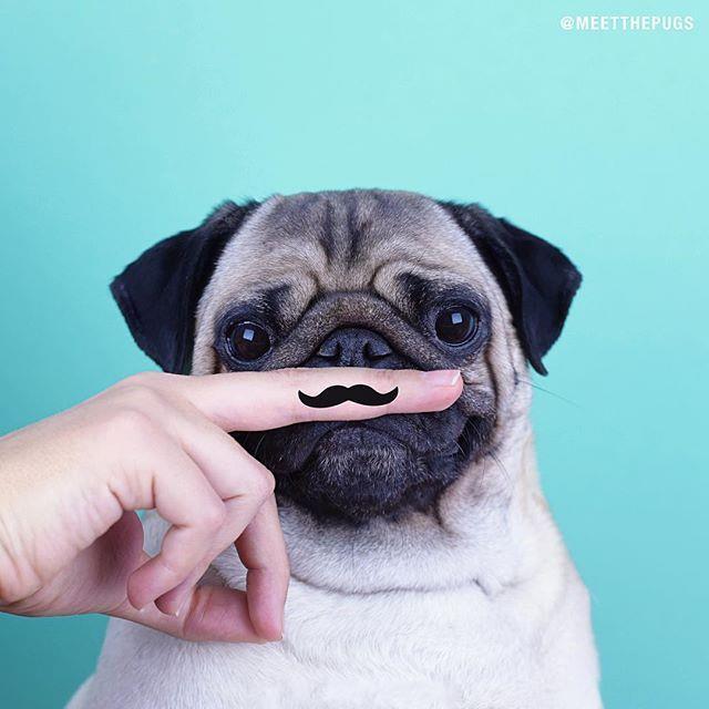 简短精辟的个性语录，时尚拉风，很有气质！