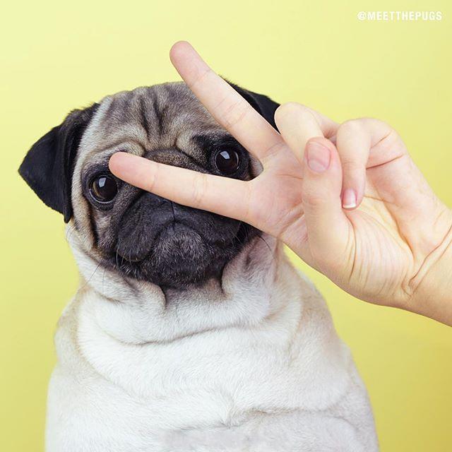 简短精辟的个性语录，时尚拉风，很有气质！