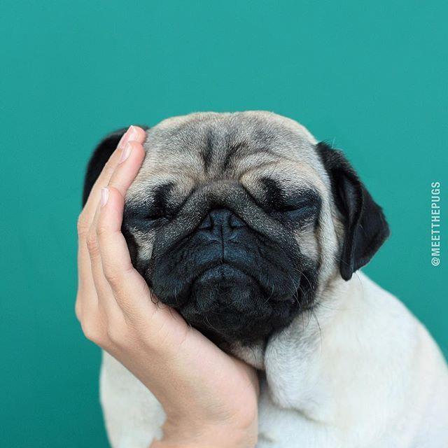 简短精辟的个性语录，时尚拉风，很有气质！