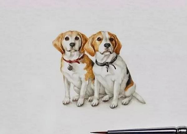 一看就很有道理的句子，简短精辟，说尽现实！