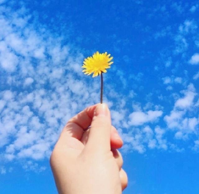 努力进取的励志文案，哪一句唤醒了你的斗志？