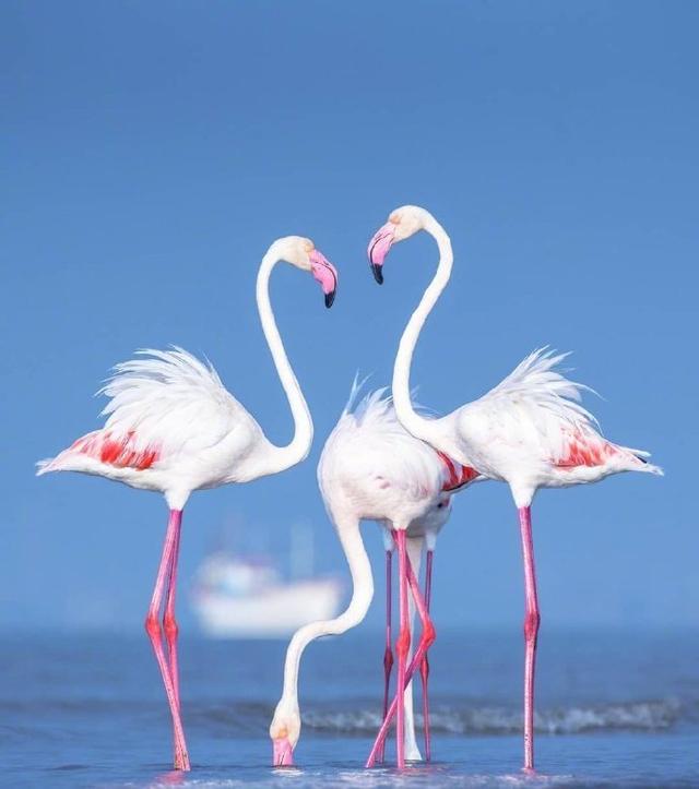 乐观向上的早安文案，满满正能量，让你神采飞扬！