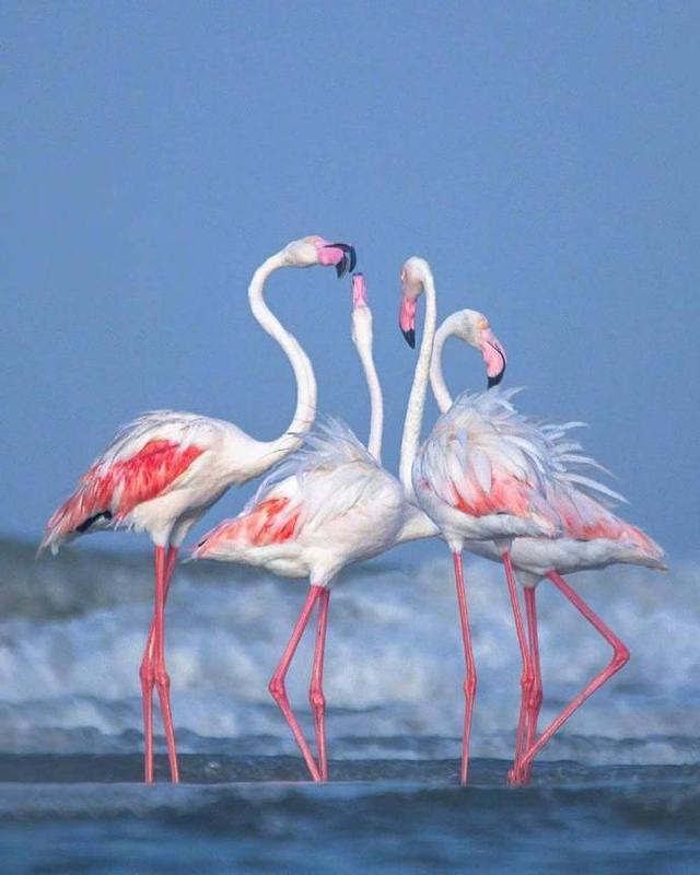 乐观向上的早安文案，满满正能量，让你神采飞扬！