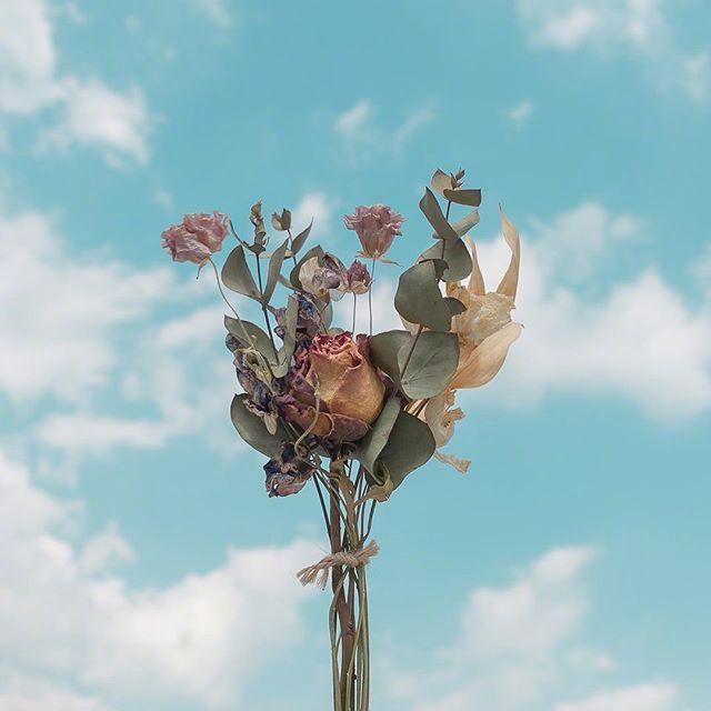 阳光唯美正能量的早安语录，欣欣向荣，送给为梦起航的你！