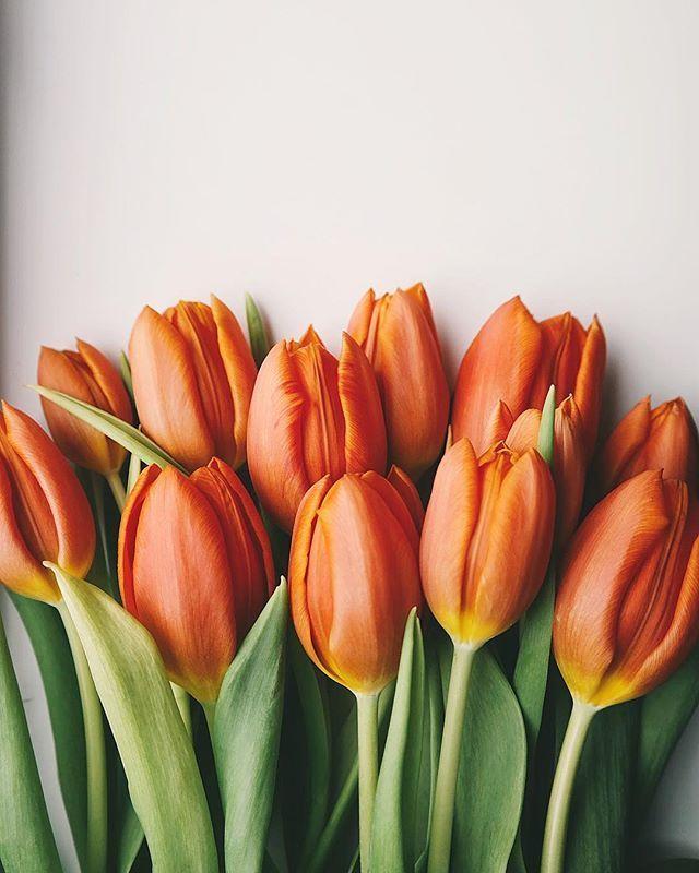 24句有道理的爱情句子，唯美精致，说到心坎上！