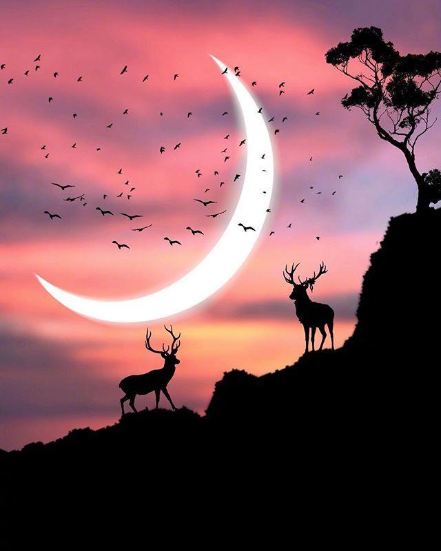 句句入骨的人生金句，充满智慧，为你指点迷津！