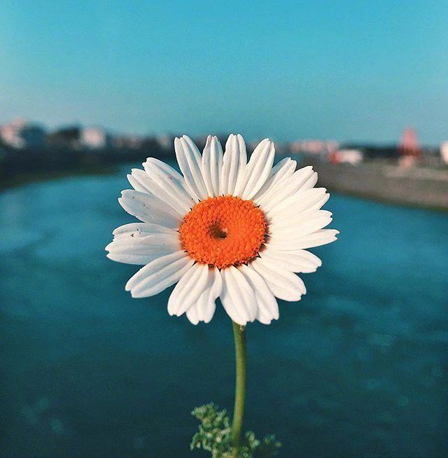 干劲十足的句子，激发斗志，让你满血复活！