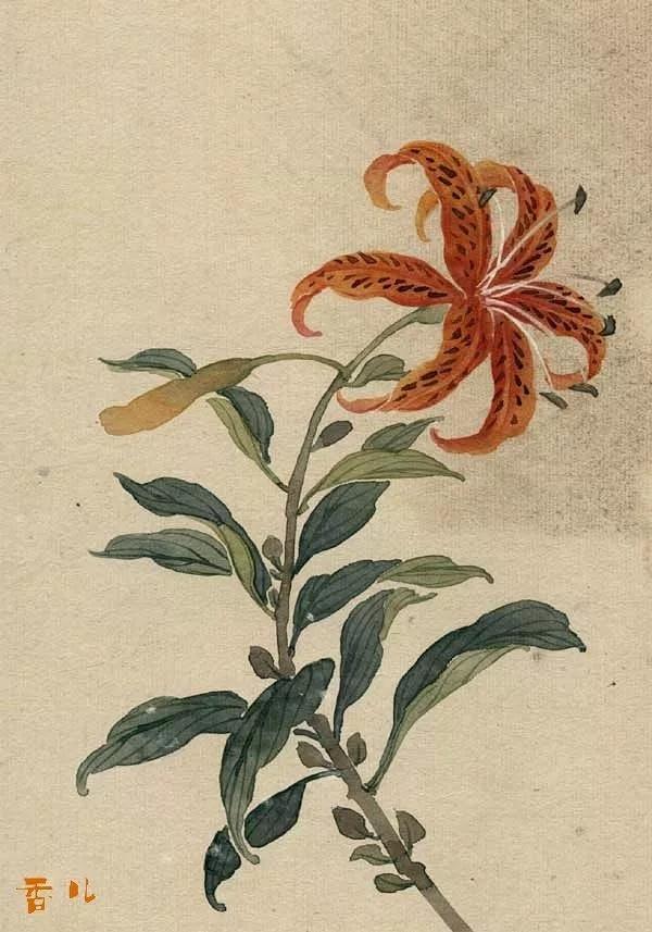 通透深刻的人生语录，经典睿智，干货满满！